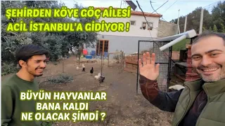 Şehirden Köye Göç Ailesi Acilen Yola Çıktı / Ev Hayvanlar ve İşler Bana Kaldı Şimdi Ne Olacak ?