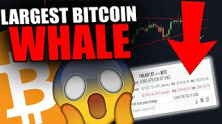 THIS WHALE JUST REVEALED THE NEXT BITCOIN MOVE [Biggest Whale Exposed..]