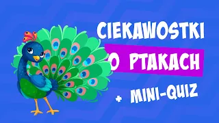 Ciekawostki o ptakach 🐦Ptaki