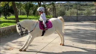 The horse rider, Gaby and Alex ride on horses