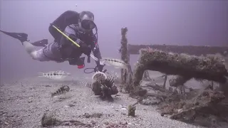 FWC Lionfish challenge kicks off May 24