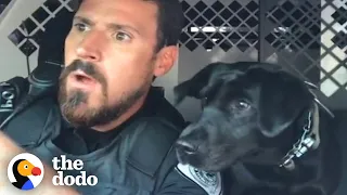 Dog Helps Out Dad At Work Every Single Day | The Dodo