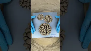 Oddly Satisfying Video of Clay Being Pressed into Flower #smooth #asmr #satisfying #mesmerizing