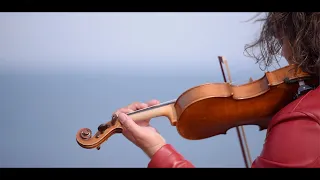 Symphony - Clean Bandit (Cover by Maxim Distefano Violin)