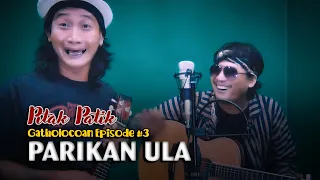 Dedy Pitak & Bije Patik "PARIKAN ULA" Lagu Banyumasan Lucu [LIVE🔴RECORDING]