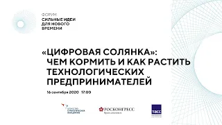 "Цифровая солянка": чем кормить и как растить технологических предпринимателей