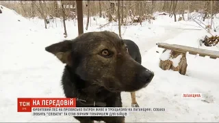 У Троїцькому з бійцями живе пес Патрон, який співає та полюбляє Шевченка