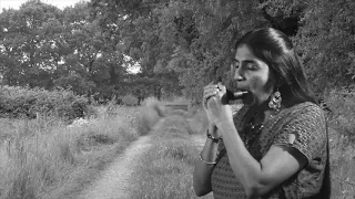 Mera Dil Ye Pukaare Aaja / Nagin been/ Instrumental/Harmonica/ Mouth Organ by Nita.