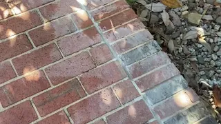 Simple way to remove mortar stains from brick!