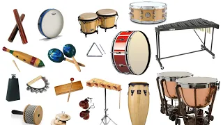 La famille des Percussions