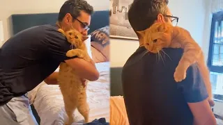 “Does Your Cat Love You They Say Yes” - Cute Way Cat Show Love To Owner