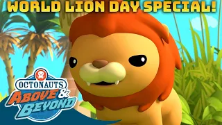 Octonauts: Above & Beyond - Big Cats 🦁 | World Lion Day Special! | Compilation | @Octonauts​