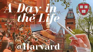 A Day in the Life of a Harvard Student *realistic*