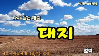 [펄벅/대지/💤자면서 듣는 소설/중간광고없는/요약해서 한번에 듣기