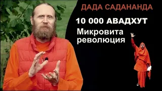 Дада Садананда: 10000 авадхут и микровита революция Ананда Марги