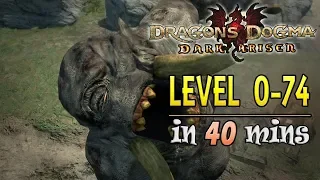 Dragon's Dogma Dark Arisen Level 0-74 in 40 minutes