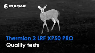 Pulsar Thermion 2 LRF XP50 PRO Preview | Thermion 2 LRF XP50 PRO Test