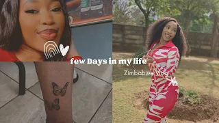 Vlog | Spend A Few Days With Me | Zimbabwe Vlog Part 1 #roadto500
