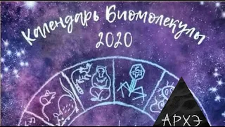 Сергей Глаголев: "Модельные объекты в биологии – кто они и зачем нужны?"