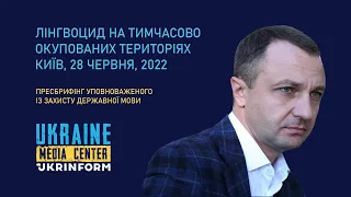 Тарас Кремінь, Уповноважений із захисту державної мови