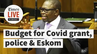 R350 grant extended, more money for police and other highlights from the mid-term budget speech