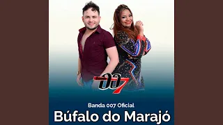 Búfalo do Marajó