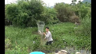 荒废鱼塘钓鱼，突然一个猛口劲太大拉不上来，小莫赶紧下水捞鱼王