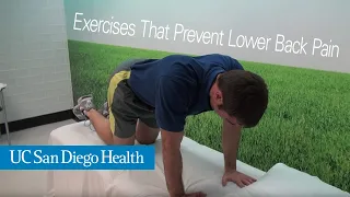 7 Simple Core Exercises That Prevent Lower Back Pain