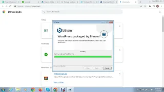 How to Create WordPress Website Offline with Bitnami | Install WordPress Localhost
