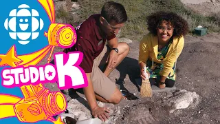 Studio K Away: Digging for Dinosaurs in Alberta | CBC Kids