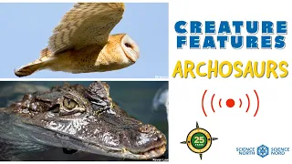 Creature Features - Archosaurs! 🐦🐊