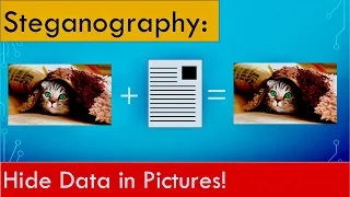 Steganography: Find hidden data in pictures and other files!