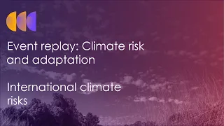 International climate risks and adaptation at COP26 and beyond
