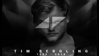 Avicii - I Could Be The One acoustic (Tribute to Tim Bergling)