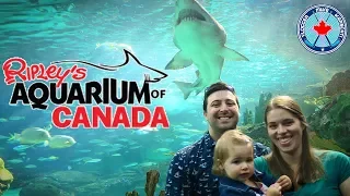 Ripley's Aquarium of Canada! Toronto, Ontario