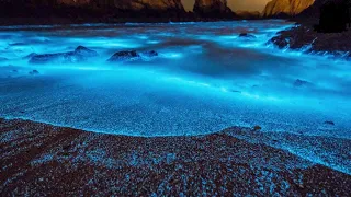 10 Most Strangest Beaches In The World!