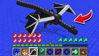 How to play ENDER DRAGON in Minecraft! Real life family ENDER DRAGON Battle NOOB VS PRO Animation