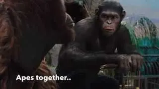 Rise of the Planet of Apes [Apes Together Strong]