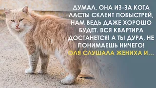 Он старый уже! Ему жить-то осталось. И бабе Зое твоей тоже. Подумаешь кот. Говорил Тимофей, а Оля…