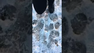 male feet are walking over the snow