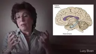Applying neuroscience to psychotherapeutic treatment  -  Lucy Biven