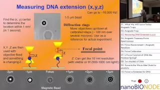 Biophysics 401 Lecture 13: Magnetic Tweezers III