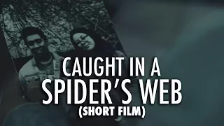 Caught in a Spider's Web (SHORT FILM 2017)