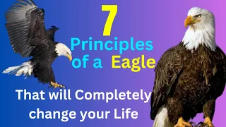 The 7 Principles of A Eagle That will change your Life