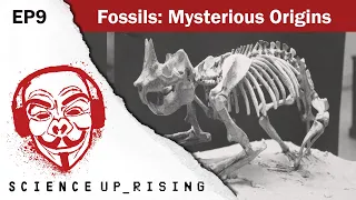 Fossils: Mysterious Origins (Science Uprising, EP9)