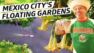 How Mexico City's Mysterious Floating Gardens Helped Feed the City For Hundreds of Years