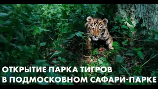 27 мая 2023 г. в Подмосковном Сафари-парке открылся Парк тигров