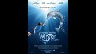 L'incroyable histoire de Winter le dauphin