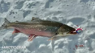 Check out how Inuit go ice fishing for arctic char in Nunavik