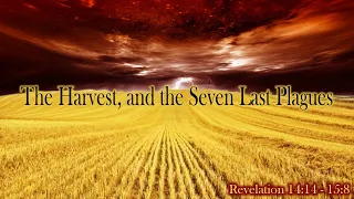 The Harvest & the Seven Last Plagues | Revelation 14:14 - 15:8 | 07-10-22